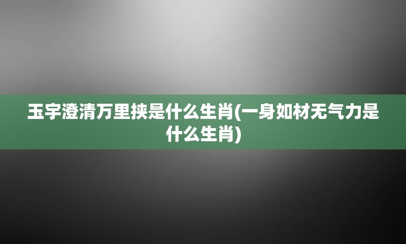 玉宇澄清万里挟是什么生肖(一身如材无气力是什么生肖)