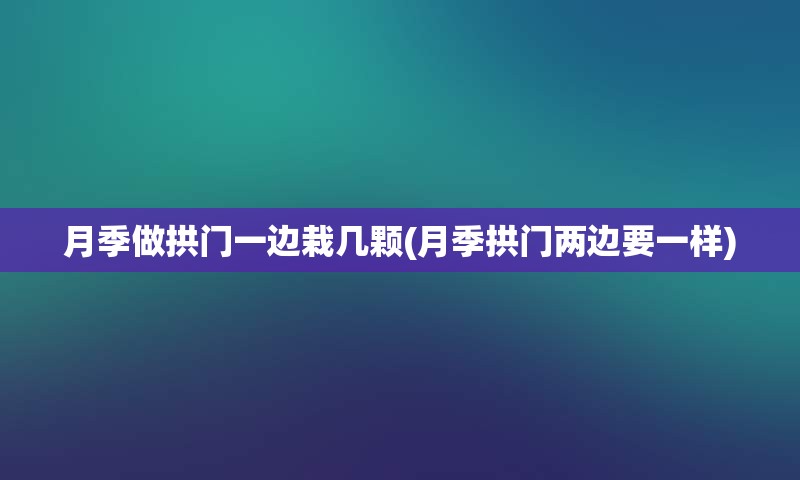 月季做拱门一边栽几颗(月季拱门两边要一样)