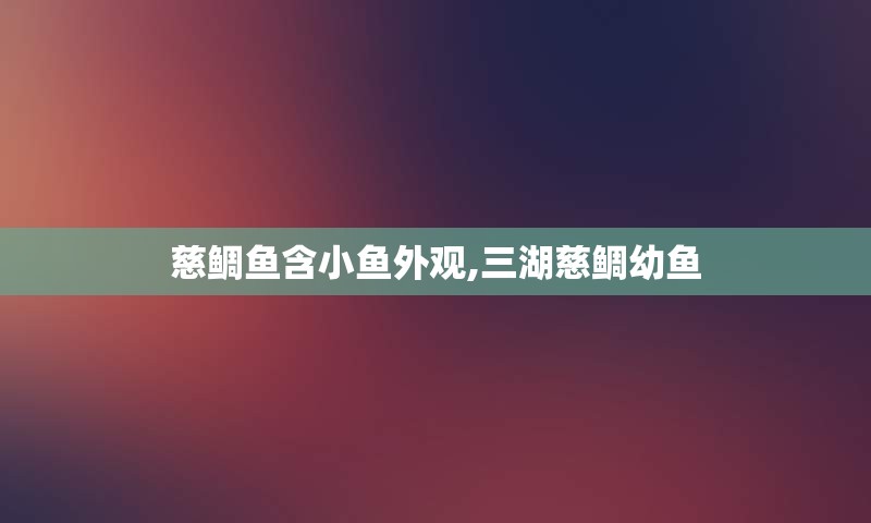 慈鲷鱼含小鱼外观,三湖慈鲷幼鱼