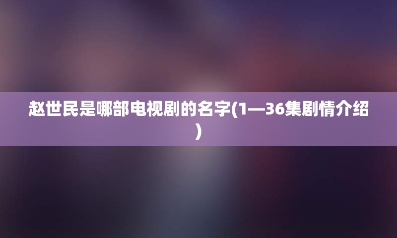 赵世民是哪部电视剧的名字(1—36集剧情介绍)