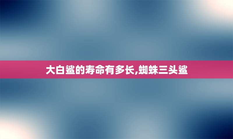 大白鲨的寿命有多长,蜘蛛三头鲨