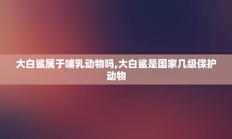 大白鲨属于哺乳动物吗,大白鲨是国家几级保护动物