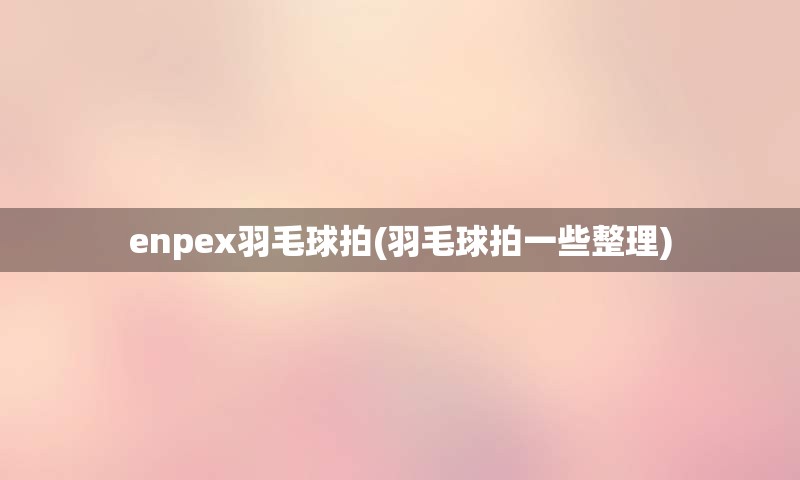 enpex羽毛球拍(羽毛球拍一些整理)