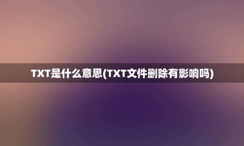 TXT是什么意思(TXT文件删除有影响吗)