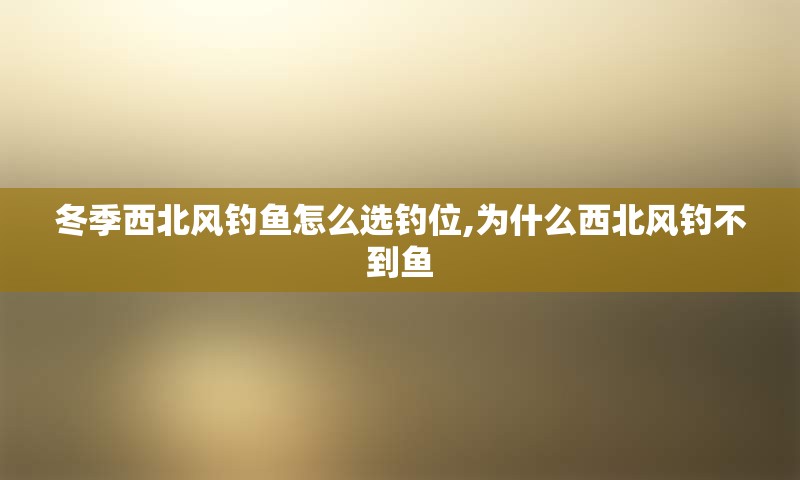 冬季西北风钓鱼怎么选钓位,为什么西北风钓不到鱼