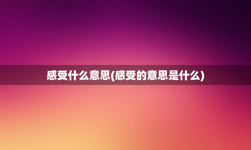 感受什么意思(感受的意思是什么)