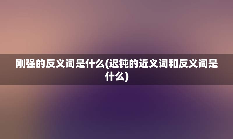 刚强的反义词是什么(迟钝的近义词和反义词是什么)