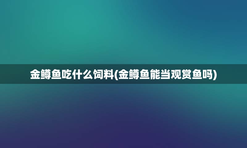 金鳟鱼吃什么饲料(金鳟鱼能当观赏鱼吗)