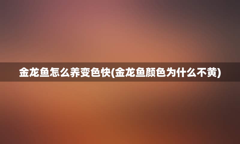 金龙鱼怎么养变色快(金龙鱼颜色为什么不黄)
