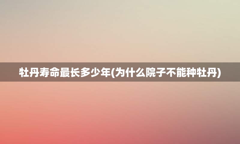 牡丹寿命最长多少年(为什么院子不能种牡丹)