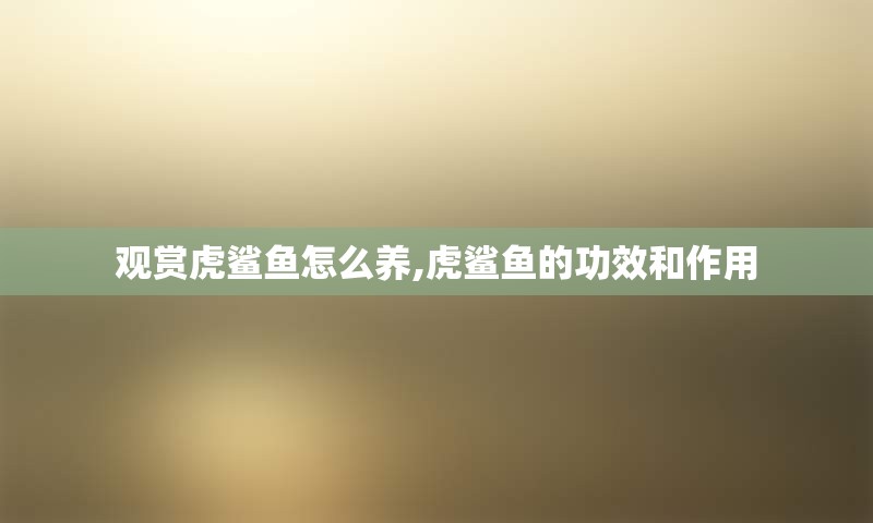 观赏虎鲨鱼怎么养,虎鲨鱼的功效和作用