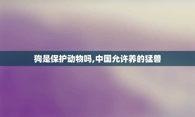 狗是保护动物吗,中国允许养的猛兽