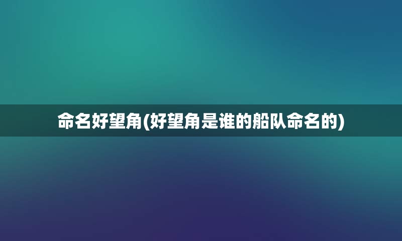 命名好望角(好望角是谁的船队命名的)