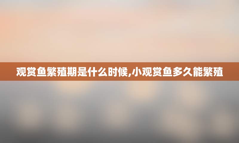 观赏鱼繁殖期是什么时候,小观赏鱼多久能繁殖