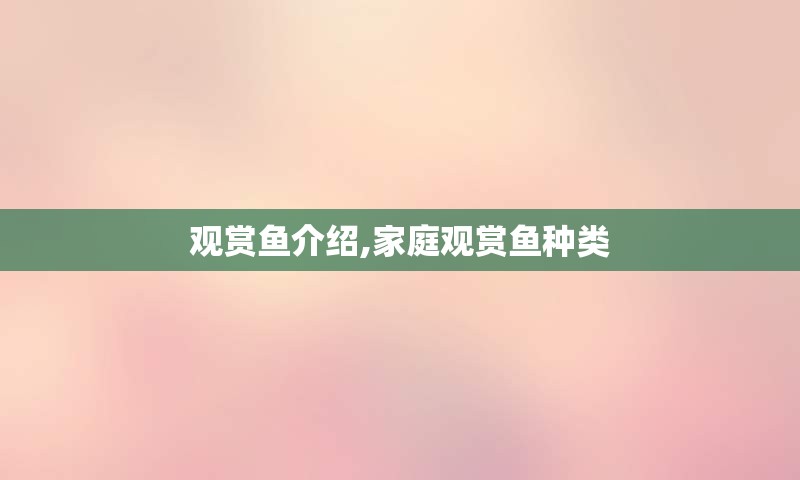 观赏鱼介绍,家庭观赏鱼种类