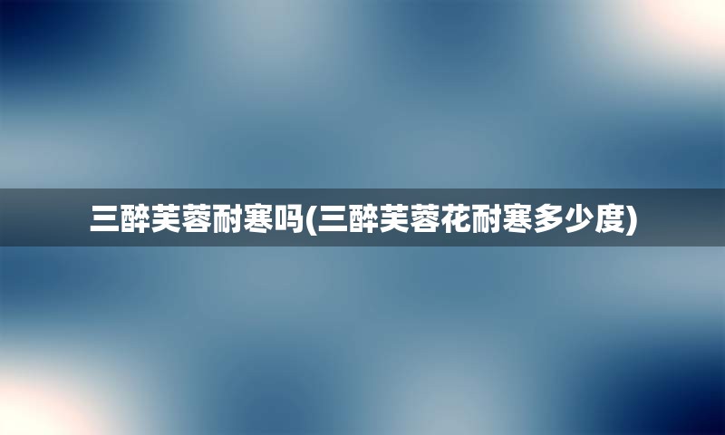 三醉芙蓉耐寒吗(三醉芙蓉花耐寒多少度)