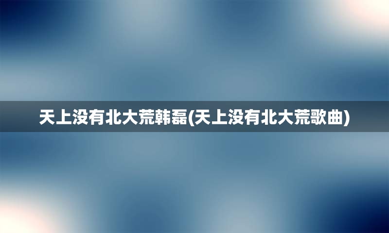 天上没有北大荒韩磊(天上没有北大荒歌曲)