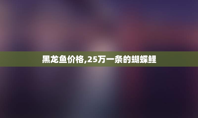 黑龙鱼价格,25万一条的蝴蝶鲤