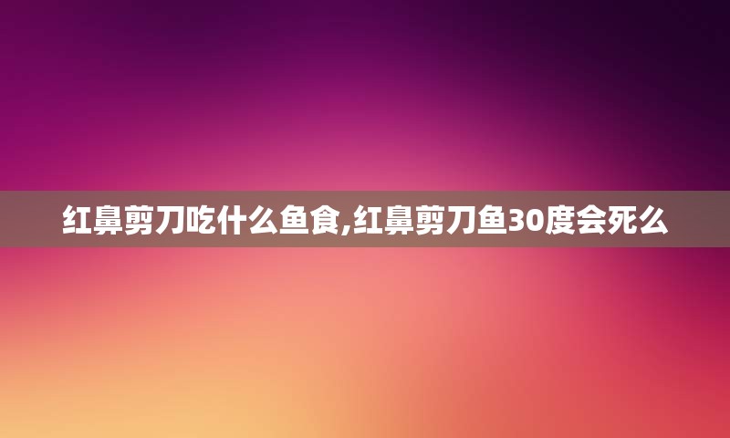 红鼻剪刀吃什么鱼食,红鼻剪刀鱼30度会死么