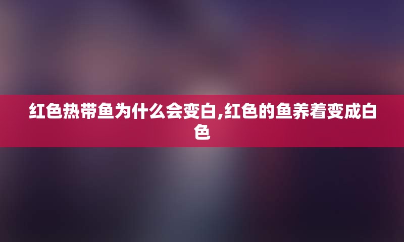 红色热带鱼为什么会变白,红色的鱼养着变成白色