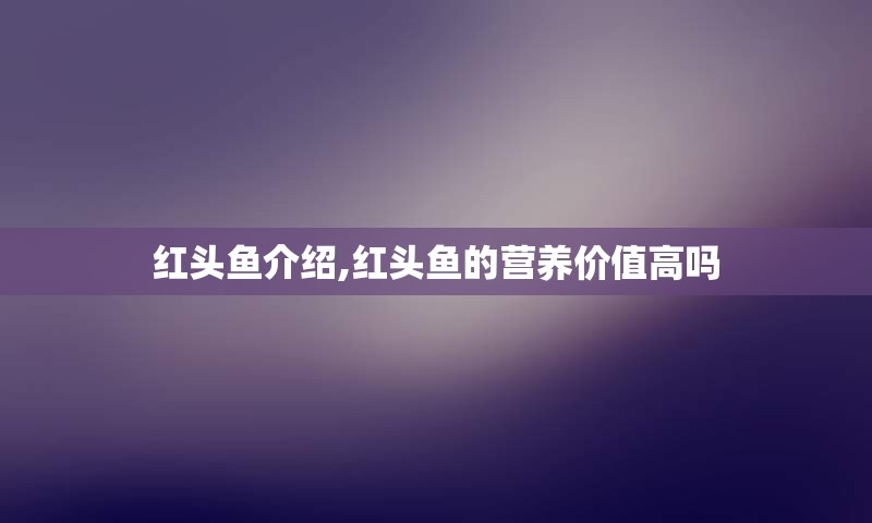 红头鱼介绍,红头鱼的营养价值高吗