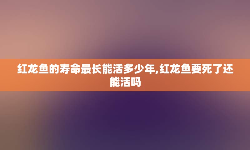 红龙鱼的寿命最长能活多少年,红龙鱼要死了还能活吗