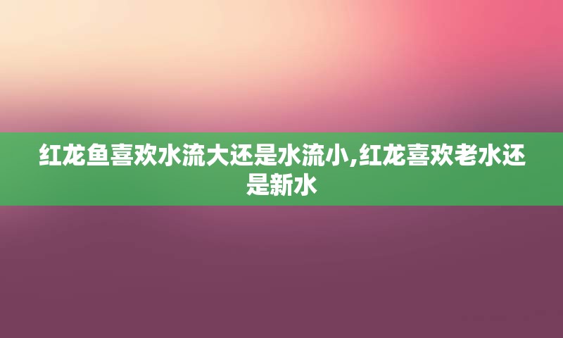 红龙鱼喜欢水流大还是水流小,红龙喜欢老水还是新水