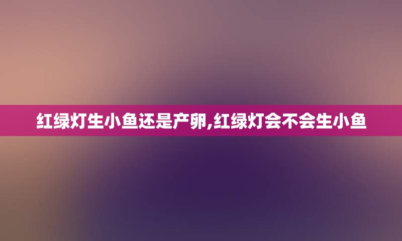 红绿灯生小鱼还是产卵,红绿灯会不会生小鱼