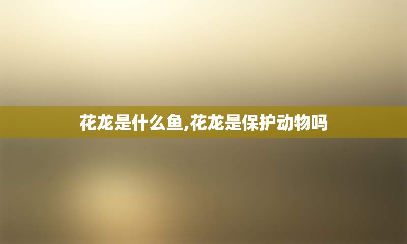 花龙是什么鱼,花龙是保护动物吗