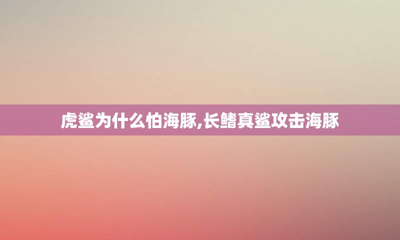 虎鲨为什么怕海豚,长鳍真鲨攻击海豚