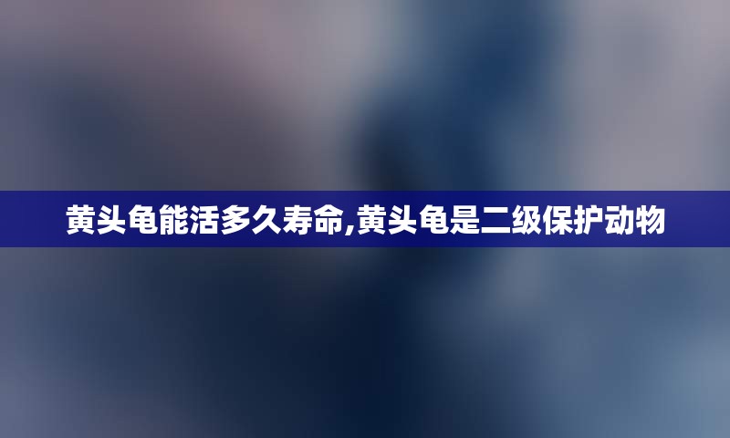 黄头龟能活多久寿命,黄头龟是二级保护动物