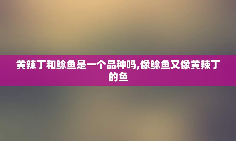黄辣丁和鲶鱼是一个品种吗,像鲶鱼又像黄辣丁的鱼