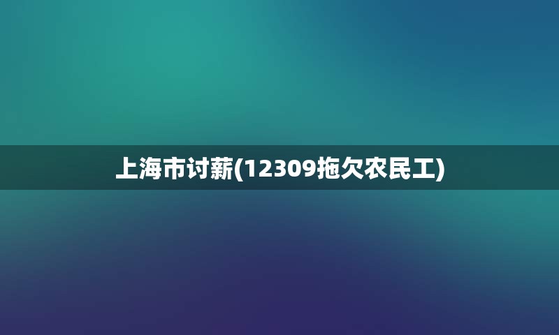 上海市讨薪(12309拖欠农民工)