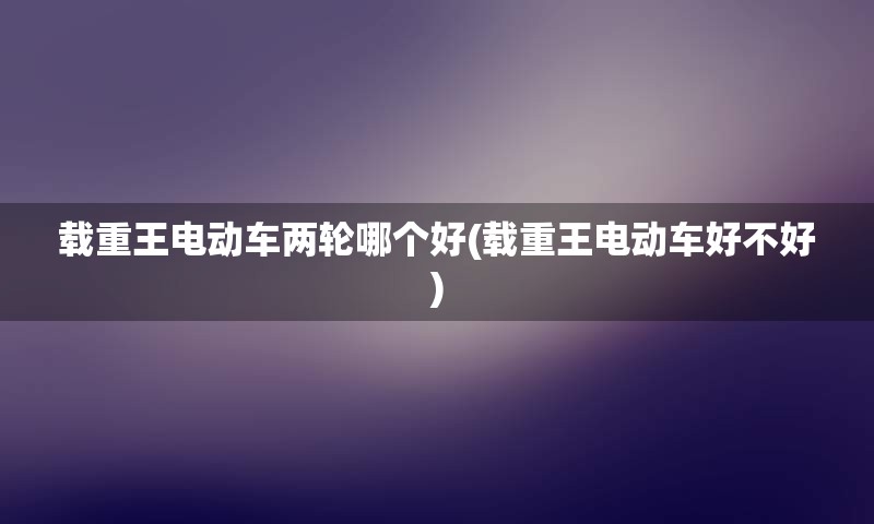 载重王电动车两轮哪个好(载重王电动车好不好)