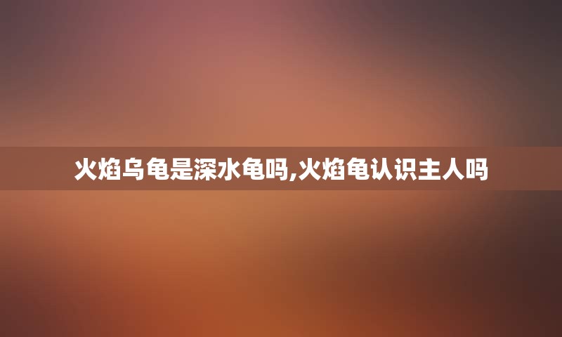 火焰乌龟是深水龟吗,火焰龟认识主人吗