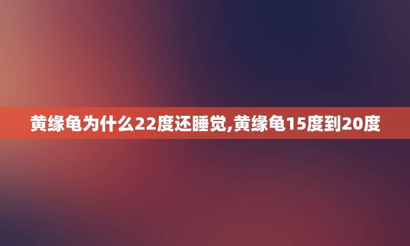 黄缘龟为什么22度还睡觉,黄缘龟15度到20度