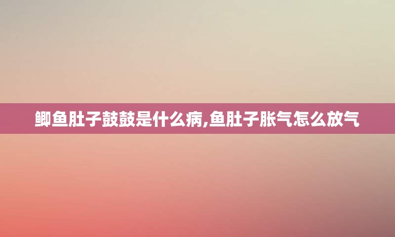 鲫鱼肚子鼓鼓是什么病,鱼肚子胀气怎么放气