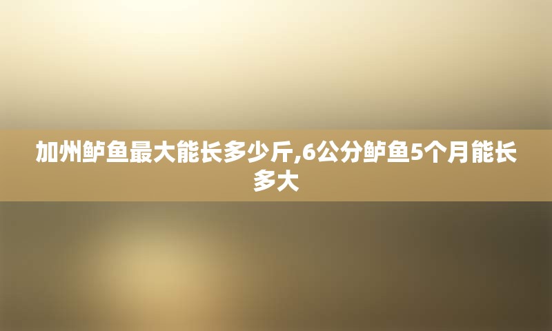 加州鲈鱼最大能长多少斤,6公分鲈鱼5个月能长多大