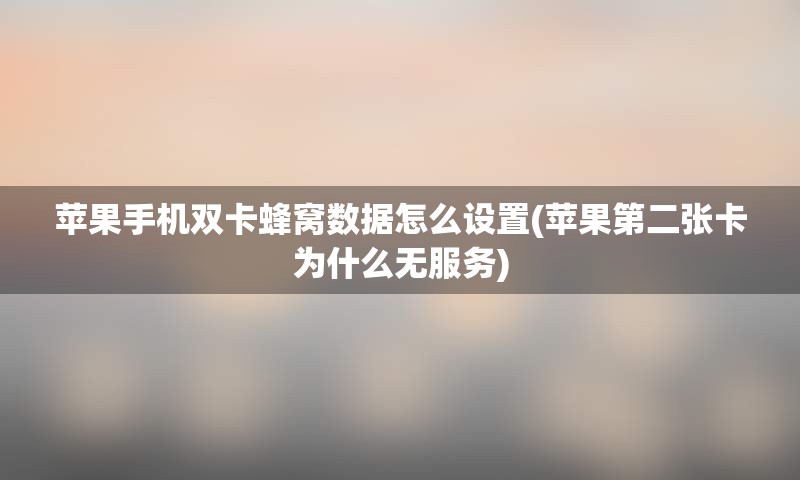 苹果手机双卡蜂窝数据怎么设置(苹果第二张卡为什么无服务)