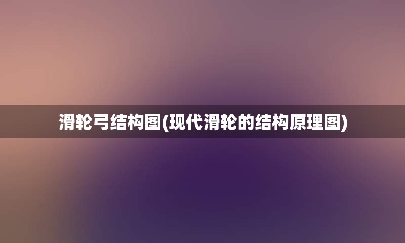 滑轮弓结构图(现代滑轮的结构原理图)