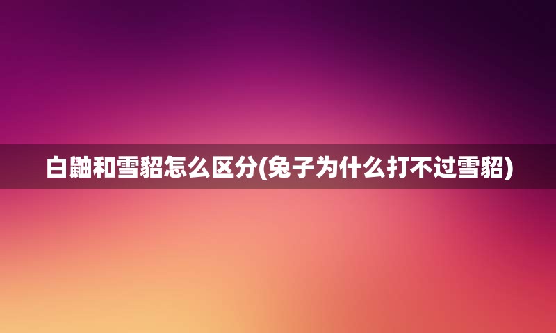 白鼬和雪貂怎么区分(兔子为什么打不过雪貂)