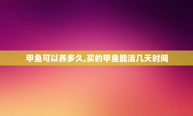 甲鱼可以养多久,买的甲鱼能活几天时间
