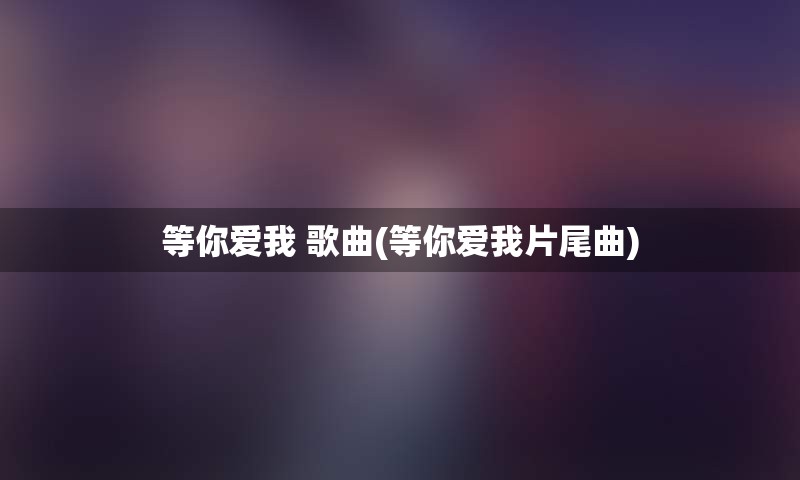 等你爱我 歌曲(等你爱我片尾曲)