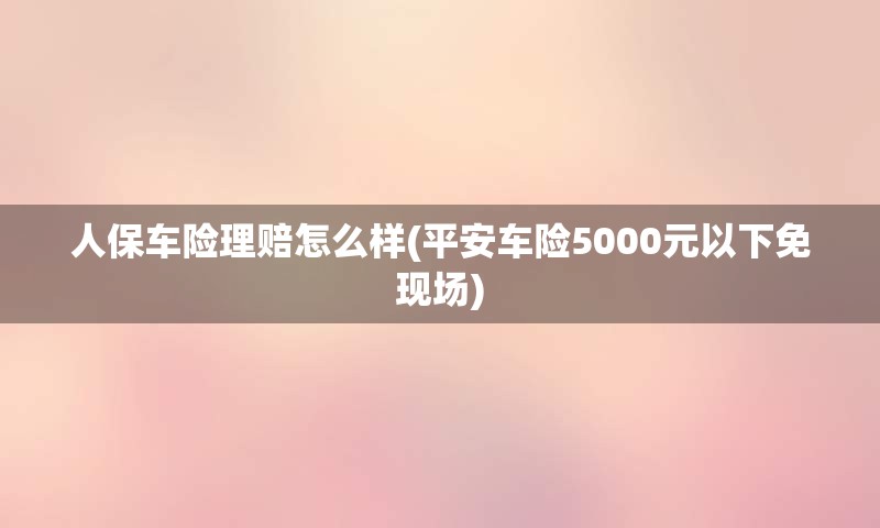 人保车险理赔怎么样(平安车险5000元以下免现场)