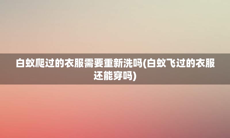 白蚁爬过的衣服需要重新洗吗(白蚁飞过的衣服还能穿吗)