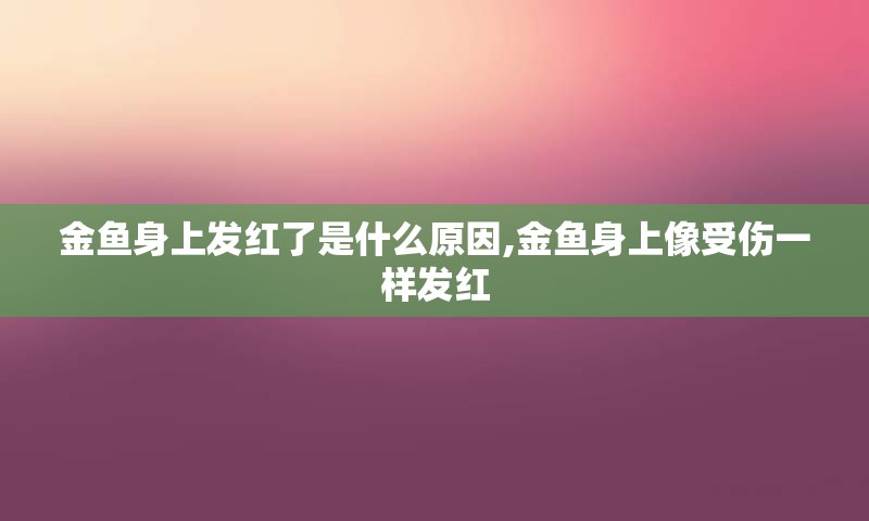 金鱼身上发红了是什么原因,金鱼身上像受伤一样发红
