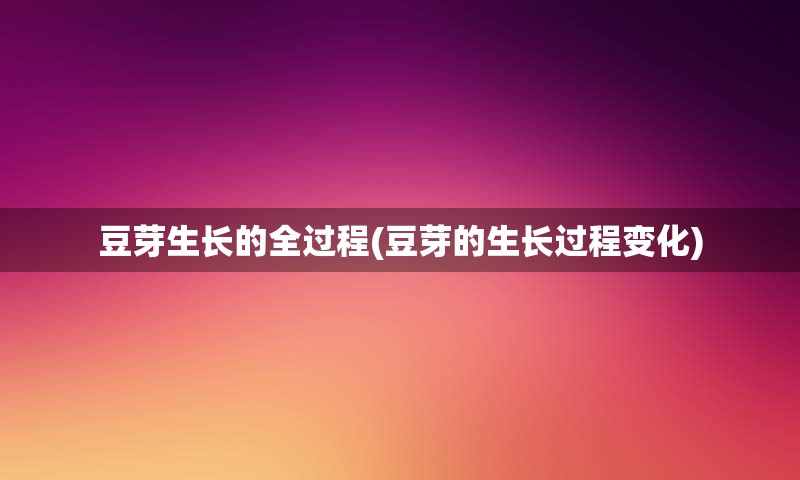 豆芽生长的全过程(豆芽的生长过程变化)