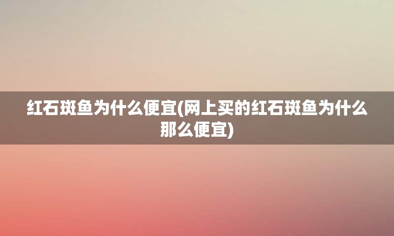 红石斑鱼为什么便宜(网上买的红石斑鱼为什么那么便宜)
