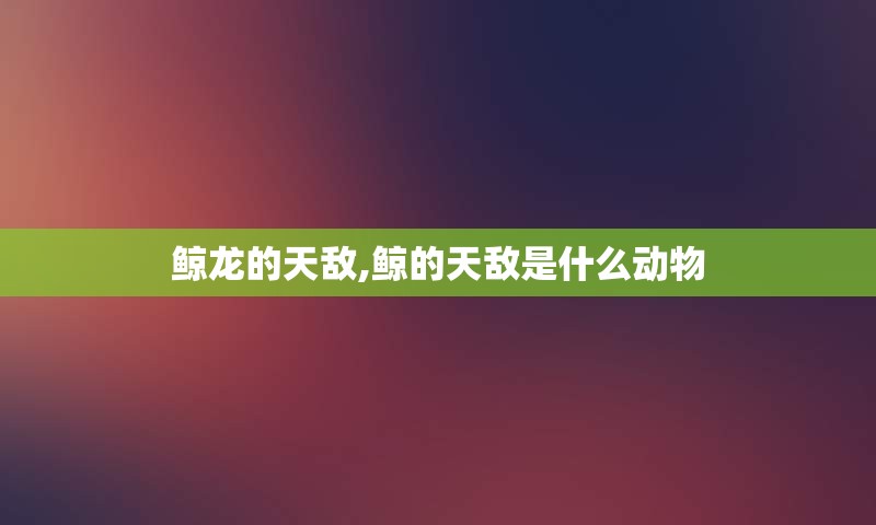 鲸龙的天敌,鲸的天敌是什么动物