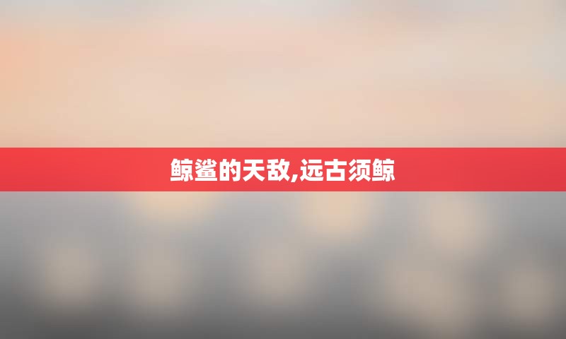 鲸鲨的天敌,远古须鲸